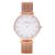 Orologio da donna Como Milano Trendsetters CM013.304.1RG